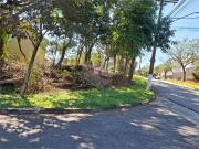 Terreno / Lote para Venda em São Paulo/SP Horto Florestal