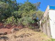 Terreno / Lote para Venda em São Paulo/SP Horto Florestal