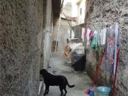 Terreno / Lote para Venda em São Paulo/SP Imirim 2 Quartos