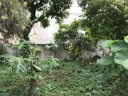 Terreno / Lote para Venda em São Paulo/SP Imirim
