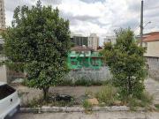 Terreno / Lote para Venda em São Paulo/SP Jaguaré