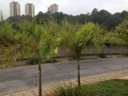 Terreno / Lote para Venda em São Paulo/SP Jardim Ampliação