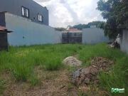 Terreno / Lote para Venda em São Paulo/SP Jardim Avelino