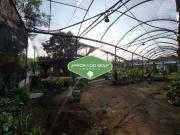 Terreno / Lote para Venda em São Paulo/SP Jardim...