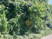 Terreno / Lote para Venda em São Paulo/SP Jardim das Pedras