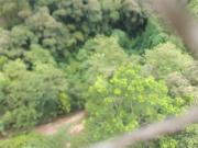 Terreno / Lote para Venda em São Paulo/SP Jardim Leonor...