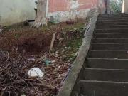 Terreno / Lote para Venda em São Paulo/SP Jardim...