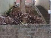 Terreno / Lote para Venda em São Paulo/SP Jardim Piraçuama