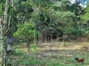 Terreno / Lote para Venda em São Paulo/SP Jardim...