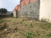 Terreno / Lote para Venda em São Paulo/SP Jardim...