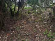 Terreno / Lote para Venda em São Paulo/SP Jardim...