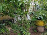 Terreno / Lote para Venda em São Paulo/SP Mooca