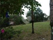 Terreno / Lote para Venda em São Paulo/SP Panamby