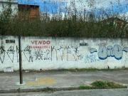 Terreno / Lote para Venda em São Paulo/SP Parque Ipê