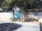 Terreno / Lote para Venda em São Paulo/SP Parque Palmas...