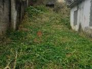 Terreno / Lote para Venda em São Paulo/SP Penha