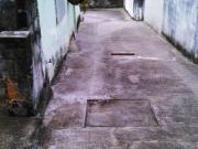 Terreno / Lote para Venda em São Paulo/SP Penha De França