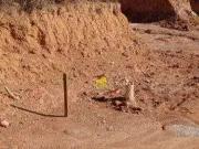 Terreno / Lote para Venda em São Paulo/SP Perus