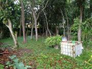 Terreno / Lote para Venda em São Paulo/SP Praias Paulistanas