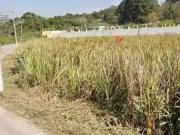 Terreno / Lote para Venda em São Paulo/SP Recanto Campo Belo