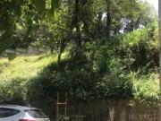 Terreno / Lote para Venda em São Paulo/SP Rolinópolis