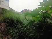 Terreno / Lote para Venda em São Paulo/SP Tremembé
