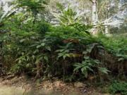 Terreno / Lote para Venda em São Paulo/SP Tucuruvi
