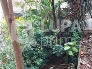 Terreno / Lote para Venda em São Paulo/SP Tucuruvi