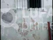 Terreno / Lote para Venda em São Paulo/SP Tucuruvi