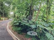 Terreno / Lote para Venda em São Paulo/SP Vila Albertina