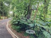 Terreno / Lote para Venda em São Paulo/SP Vila Albertina