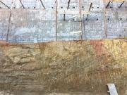 Terreno / Lote para Venda em São Paulo/SP Vila Albertina