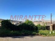 Terreno / Lote para Venda em São Paulo/SP Vila Albertina