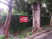Terreno / Lote para Venda em São Paulo/SP Vila Albertina