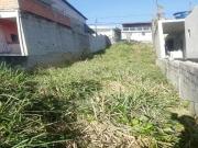 Terreno / Lote para Venda em São Paulo/SP Vila Aurora...