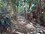 Terreno / Lote para Venda em São Paulo/SP Vila Carmosina