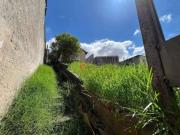 Terreno / Lote para Venda em São Paulo/SP Vila Carrão