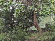 Terreno / Lote para Venda em São Paulo/SP Vila Clarice