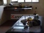 Terreno / Lote para Venda em São Paulo/SP Vila Dom Pedro I