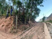 Terreno / Lote para Venda em São Paulo/SP Vila dos Remédios
