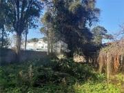 Terreno / Lote para Venda em São Paulo/SP Vila Gustavo