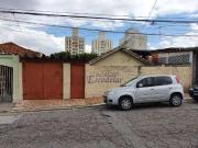 Terreno / Lote para Venda em São Paulo/SP Vila Gustavo