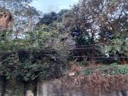 Terreno / Lote para Venda em São Paulo/SP Vila Gustavo