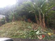 Terreno / Lote para Venda em São Paulo/SP Vila Irmãos Arnoni