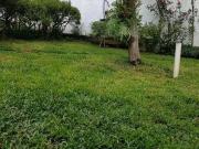 Terreno / Lote para Venda em São Paulo/SP Vila Irmãos Arnoni