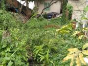 Terreno / Lote para Venda em São Paulo/SP Vila Maria Alta