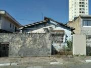 Terreno / Lote para Venda em São Paulo/SP Vila Nivi