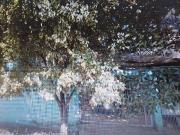 Terreno / Lote para Venda em São Paulo/SP Vila Nova Curuçá