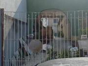 Terreno / Lote para Venda em São Paulo/SP Vila Prudente