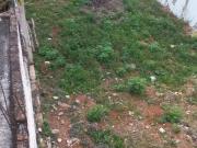 Terreno / Lote para Venda em São Paulo/SP Vila Ré Terreno / Lote para Venda em São Paulo/SP Vila Ré